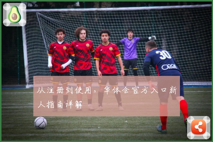 从注册到使用，华体会官方入口新人指南详解